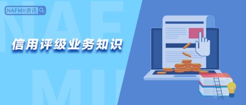 厚植專業根基，賦能信用未來——NAFMII教育信用評級業務知識培訓班第8期培訓紀實
